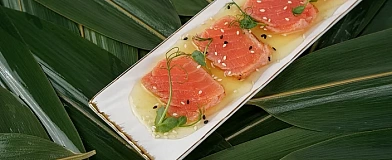 Salmon tataki with citrus sauce Yuzu Dressing Tamaki